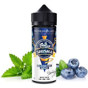 Blueberry Mint 30ml Longfill Aroma - Dr Fog Shisha