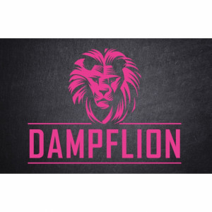 DampfLion Aroma 20ml PINK LION (Pfirsich, Kaktus, Gurke, Vanille)
