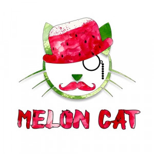 CopyCat Aroma MELON CAT 10ml